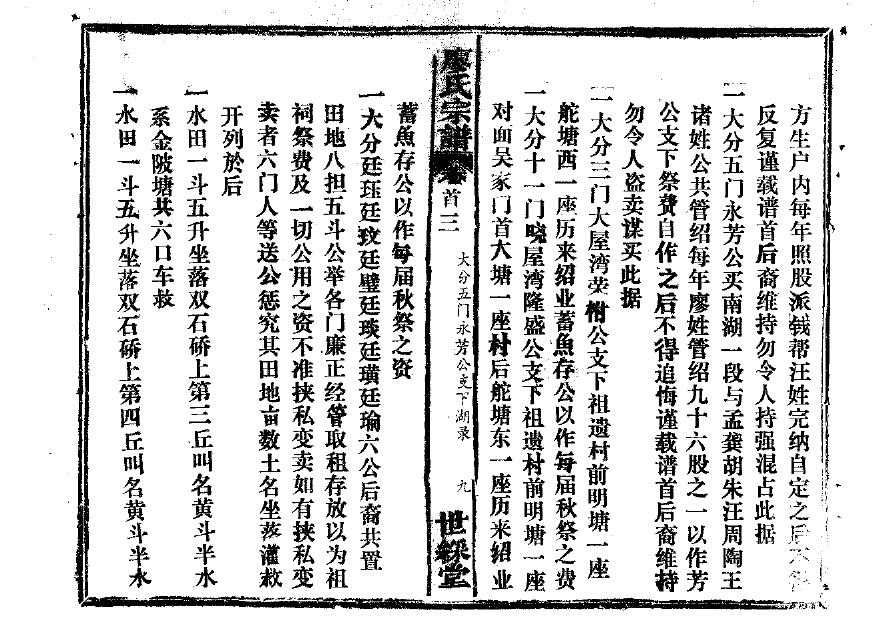 苍姓家谱辈分表