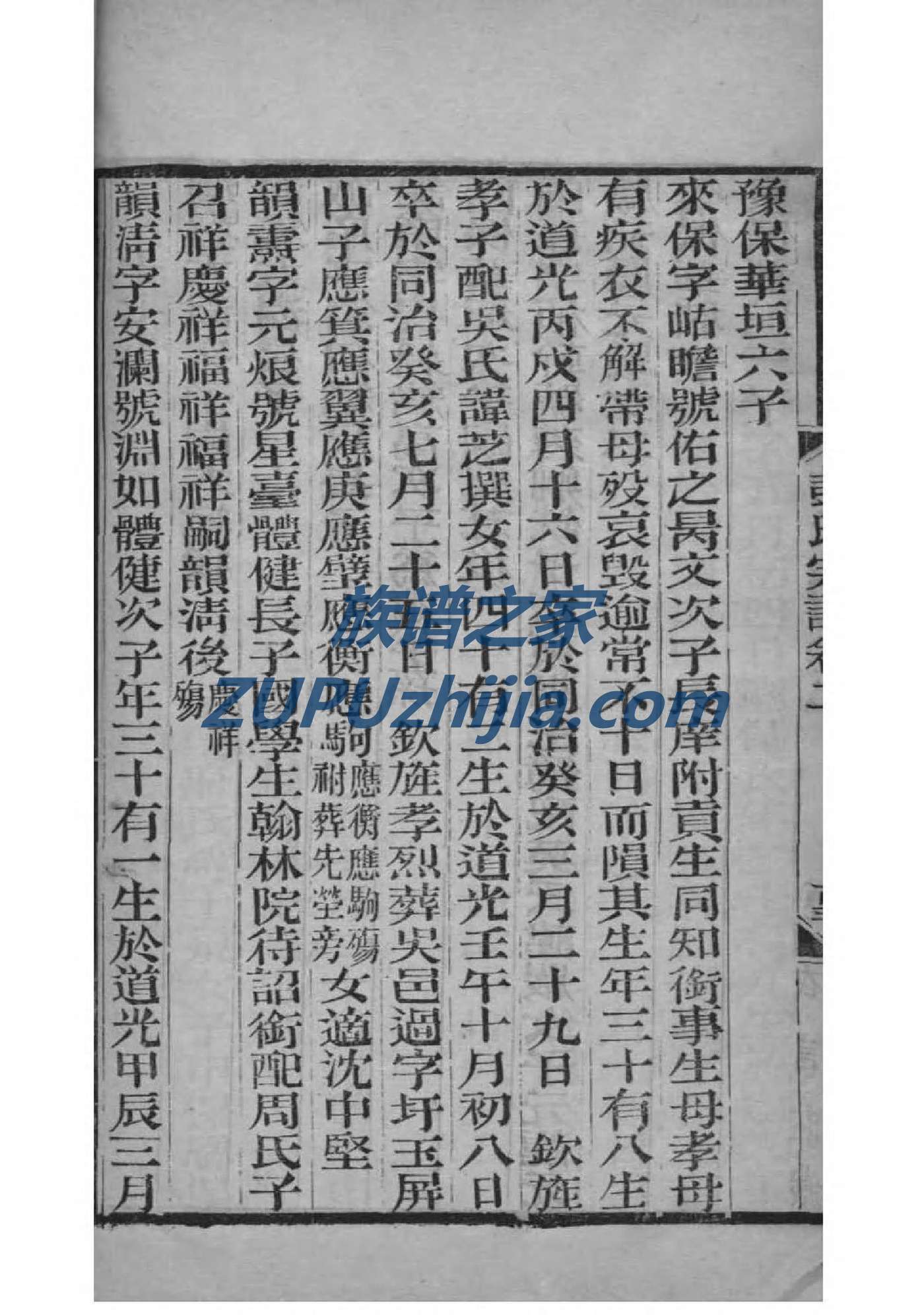族谱管理系统