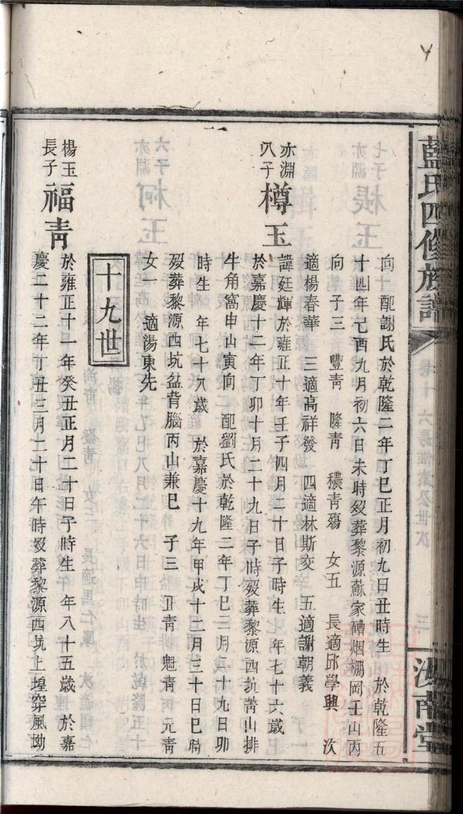 岳氏家谱族谱在哪里看