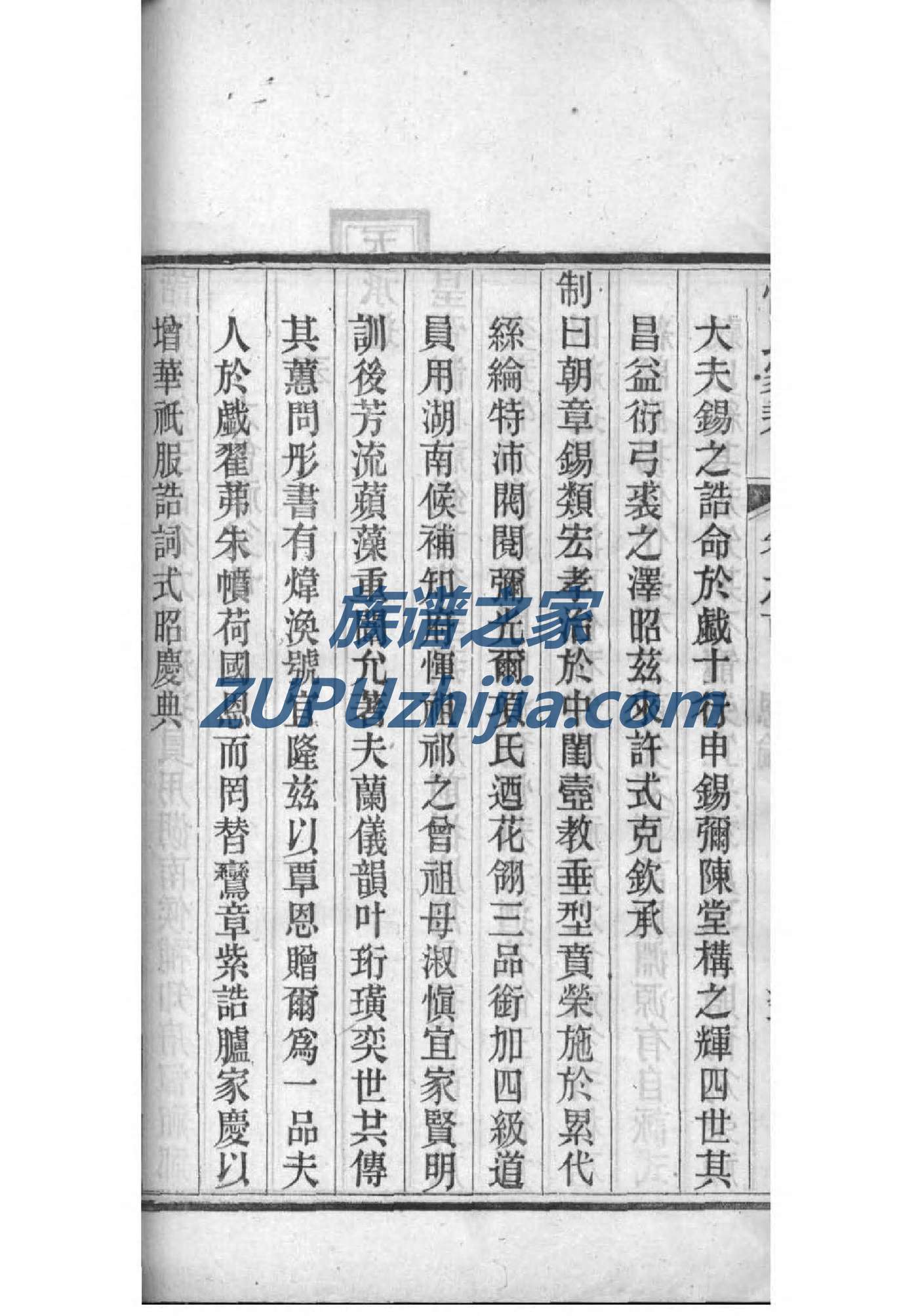 边氏家谱查询