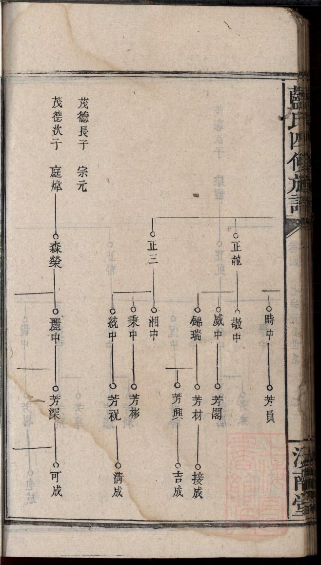 文家族谱查询
