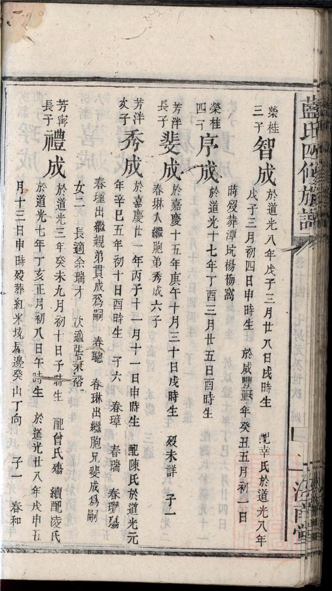 绪姓排辈顺序