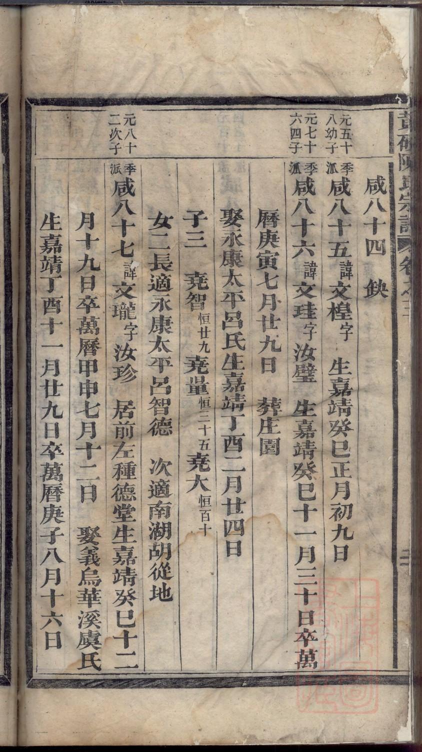 金氏族谱视频