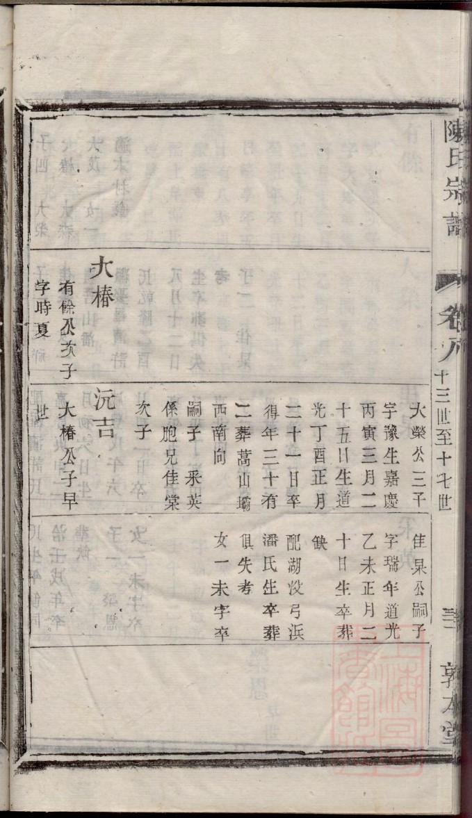 中谈树族谱网