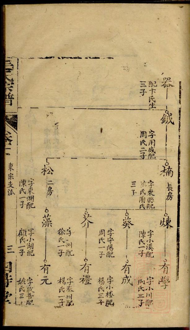 家氏族谱完整版