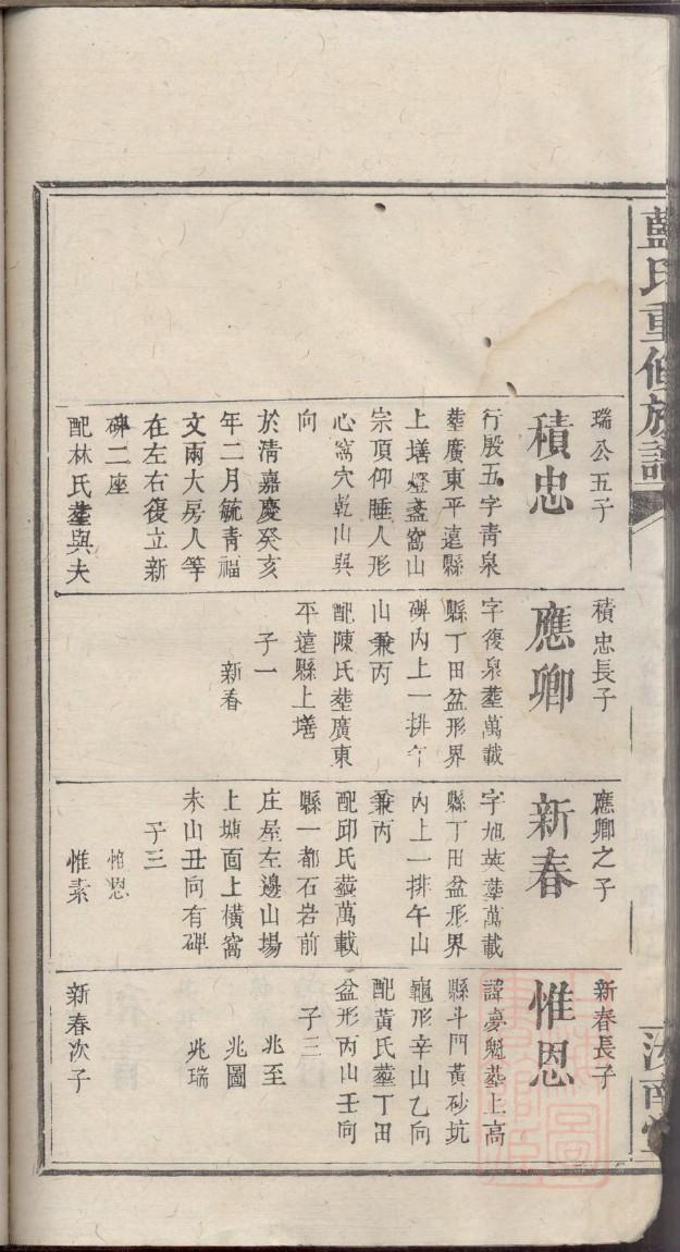 家族的族谱