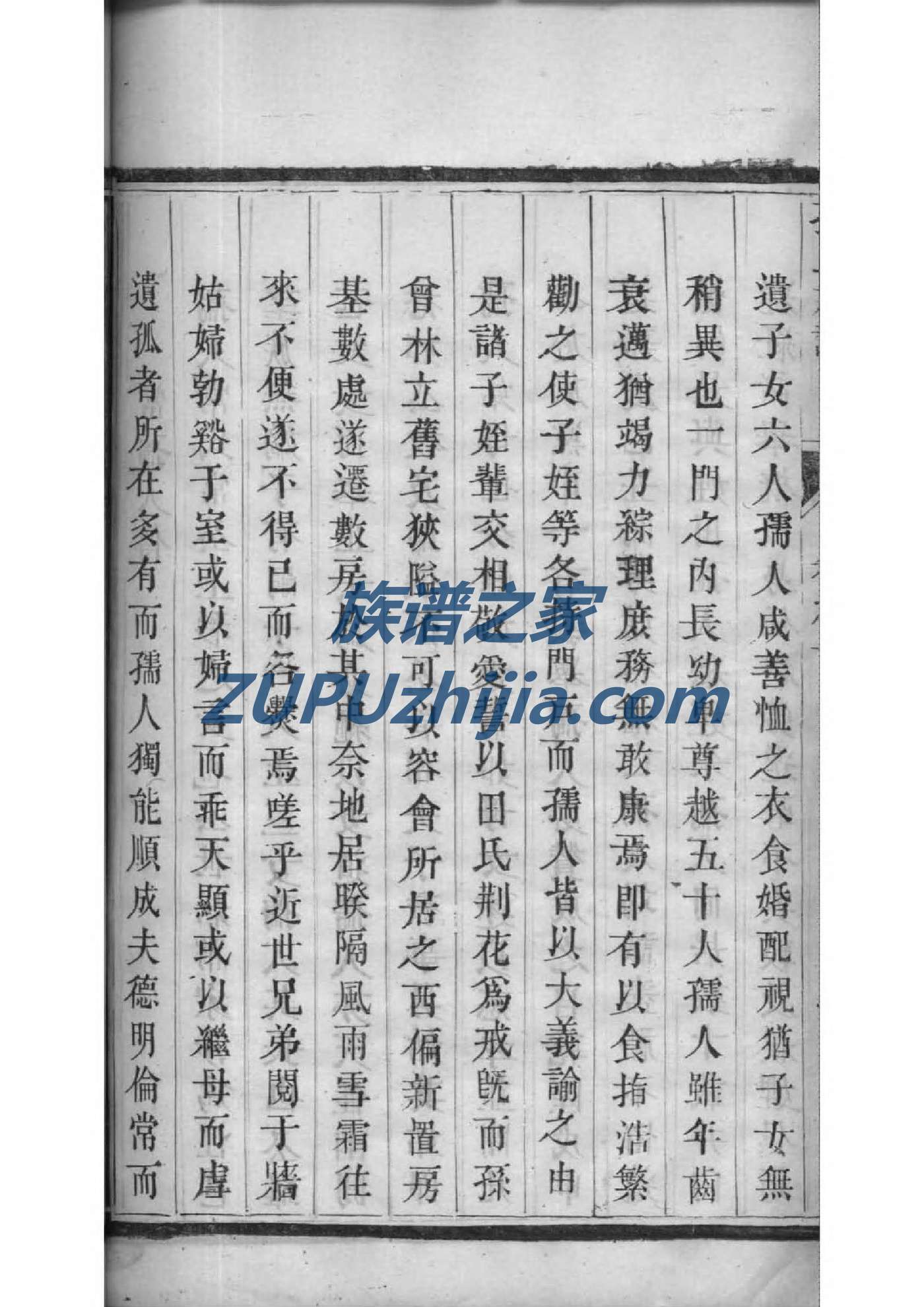 百姓族谱