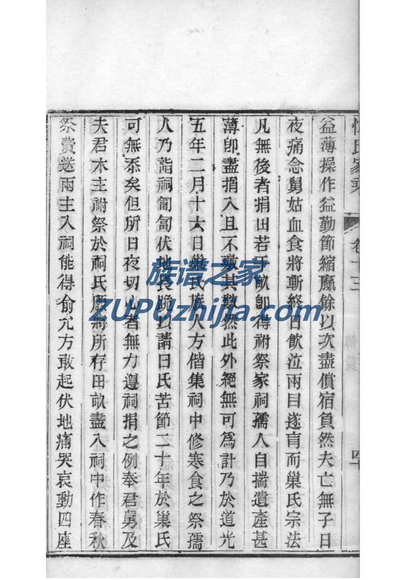 王氏家谱挂画
