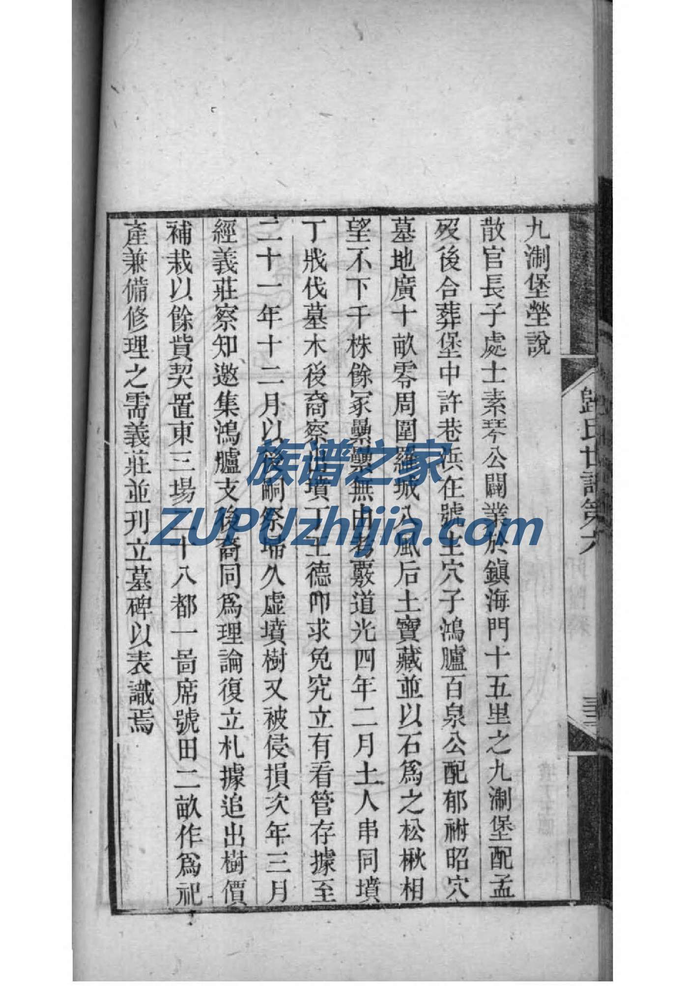 司徒家族谱查询