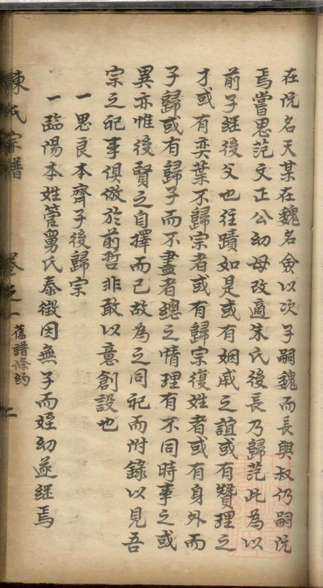 族谱模板英语