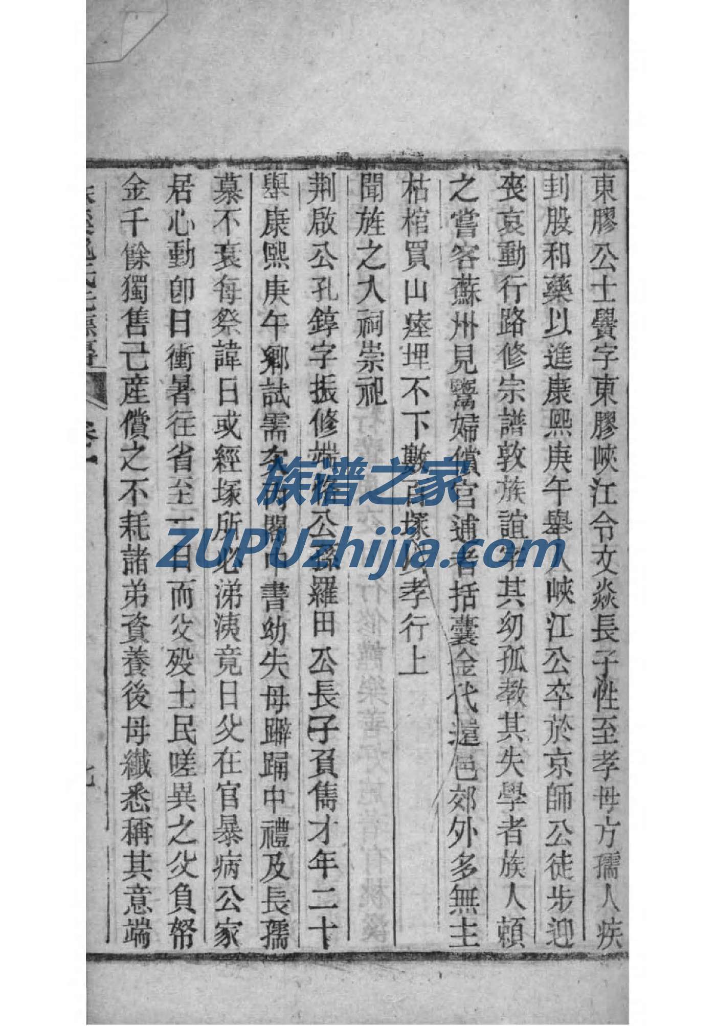 焦家谱族谱制作