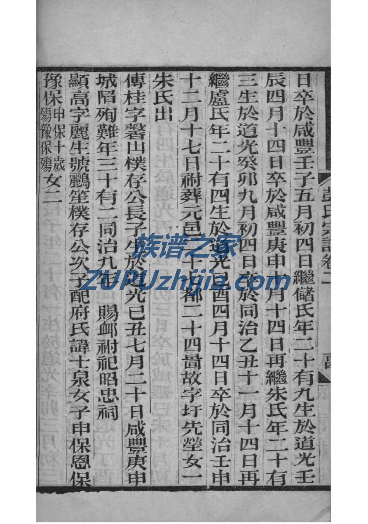 京氏家谱网