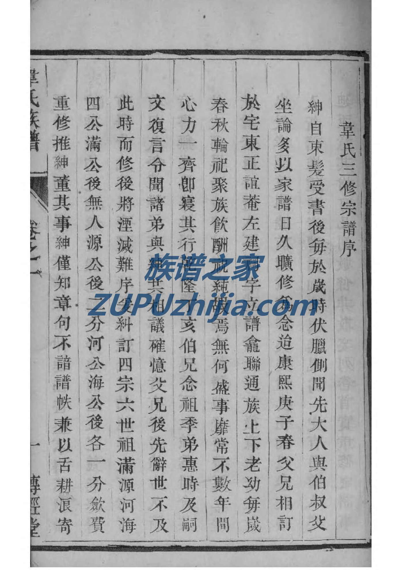 族谱家谱怎么排的