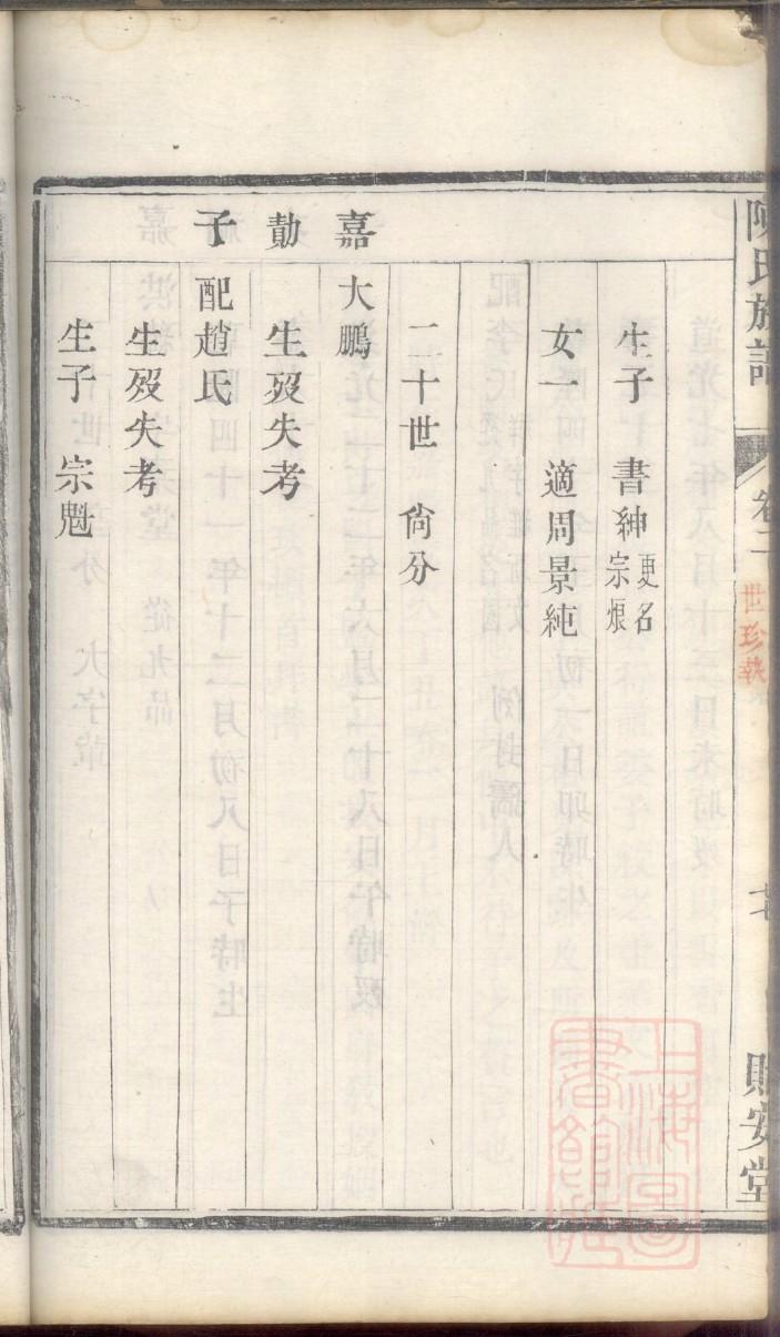 杨家族谱