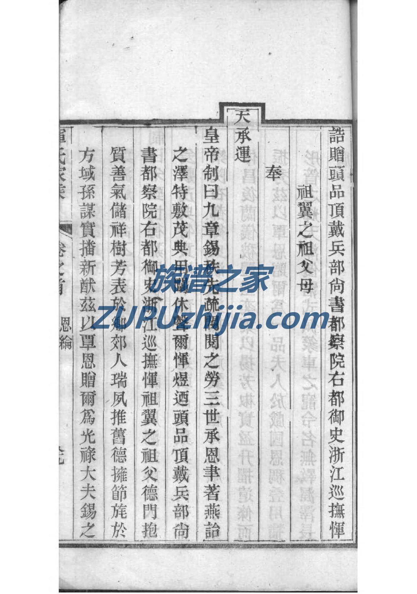 沈姓的人为什么都很厉害