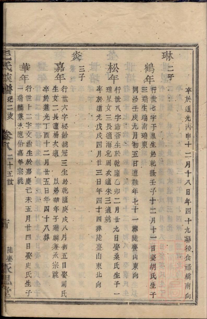 杨坚后代族谱