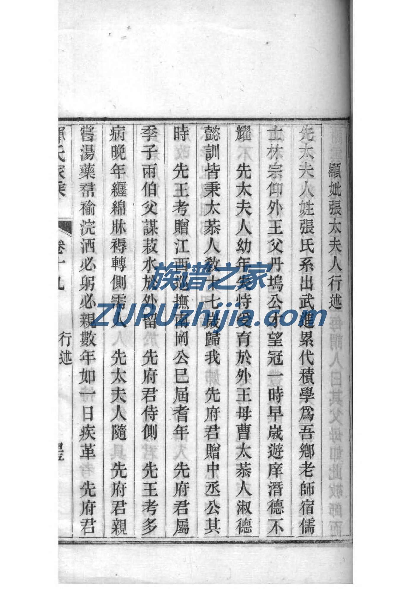 浙江苏氏宗祠在哪里
