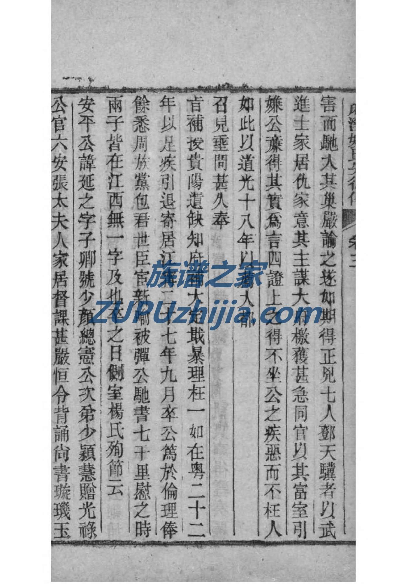 伟大的族谱视频解说
