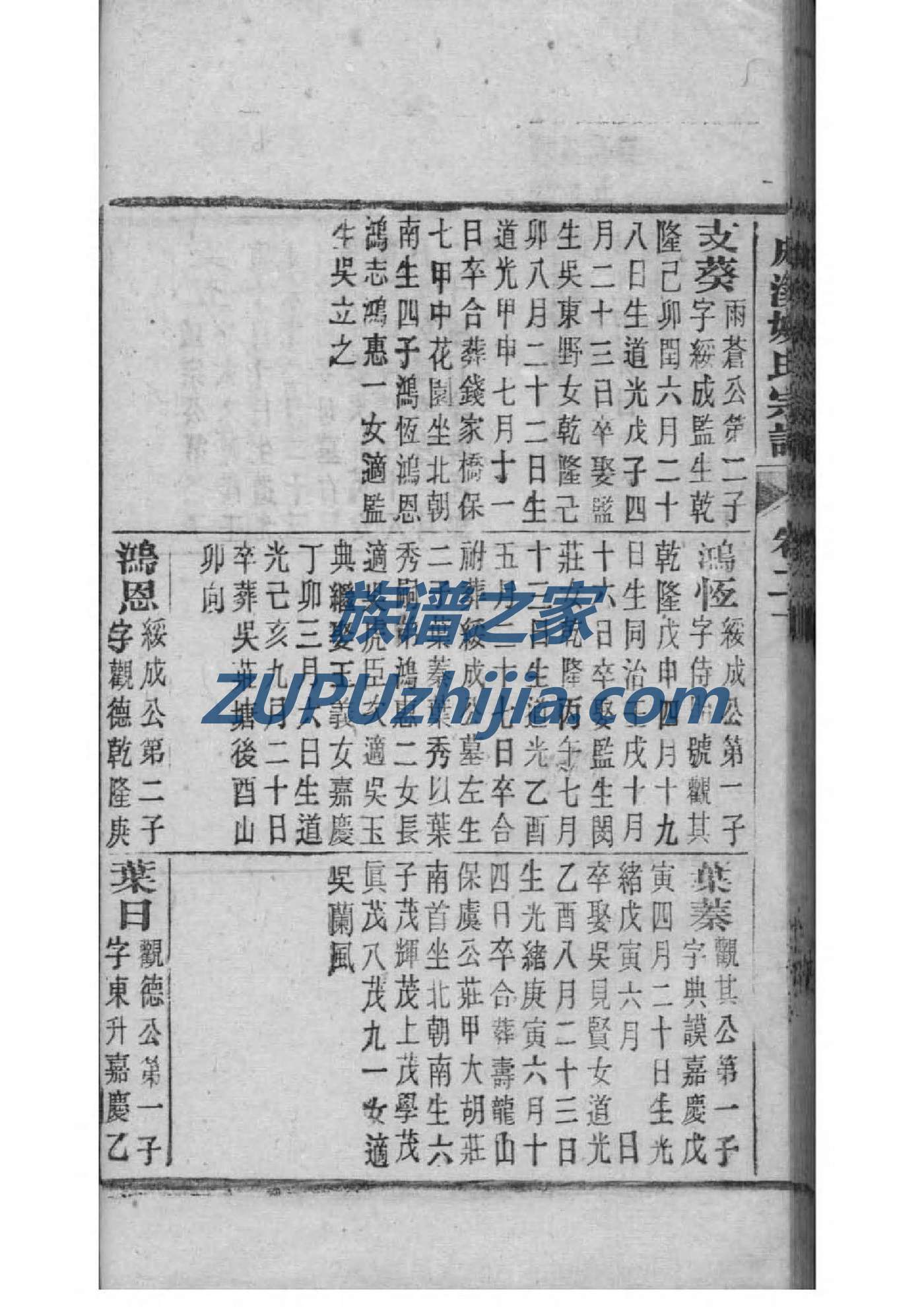 毕氏族谱查询表