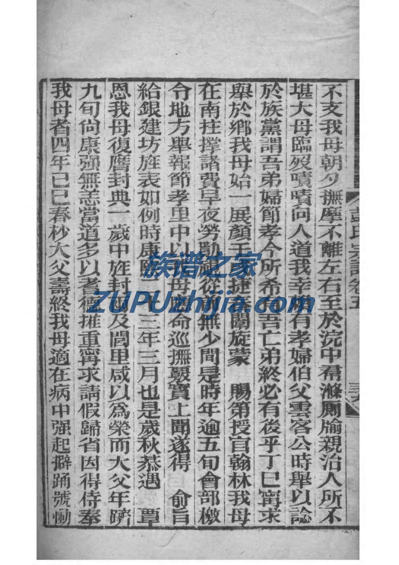 严氏家谱族谱在哪里看