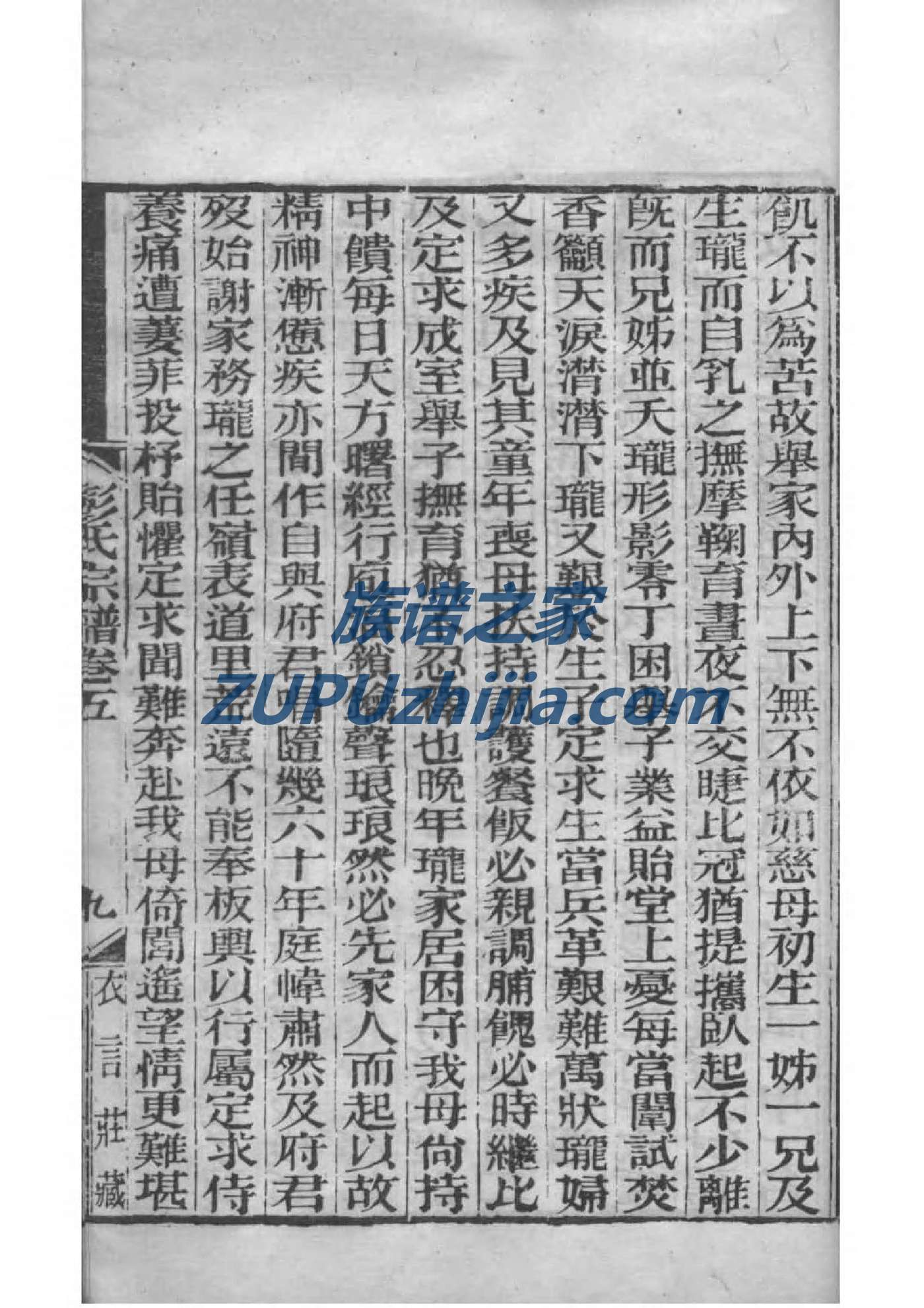 屈家家谱查询