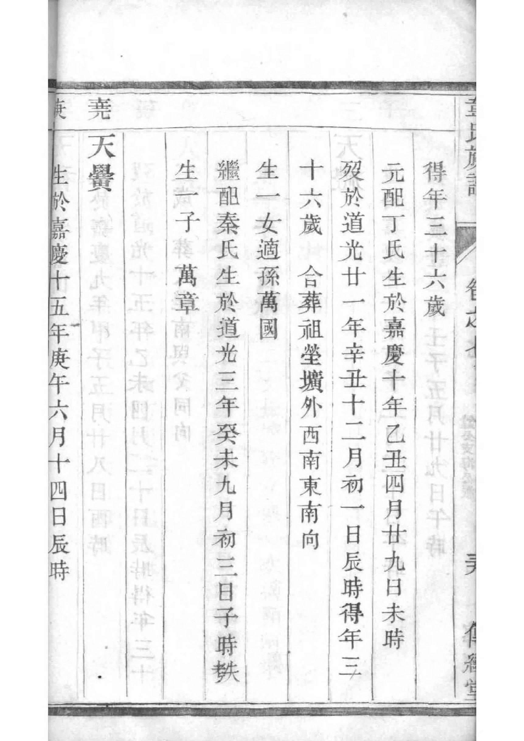 家谱制作过程
