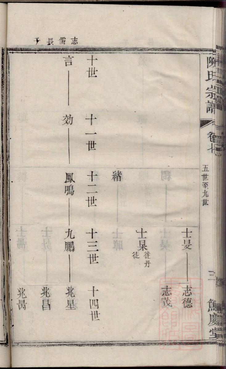家谱如何制作