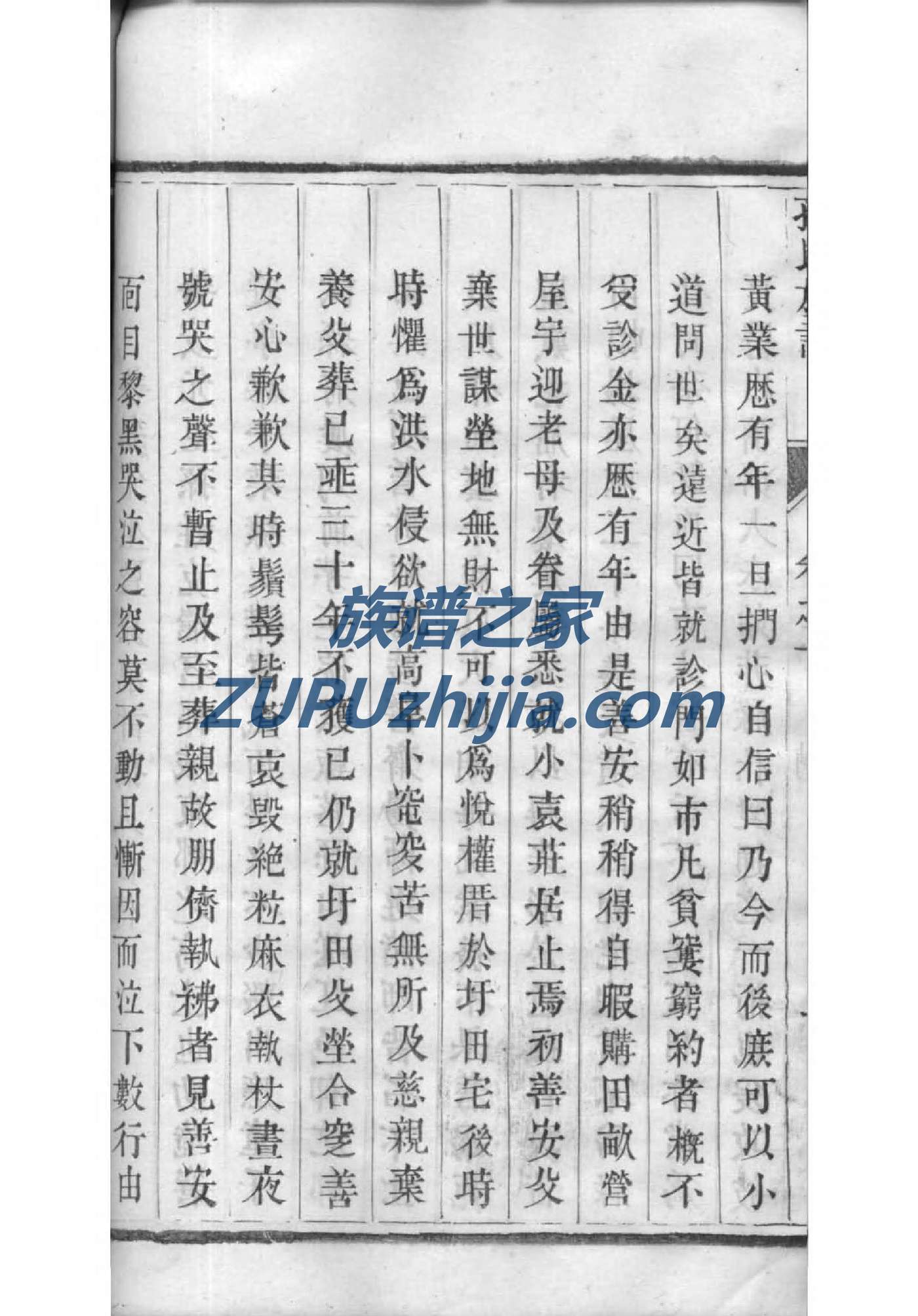 中华张氏族谱