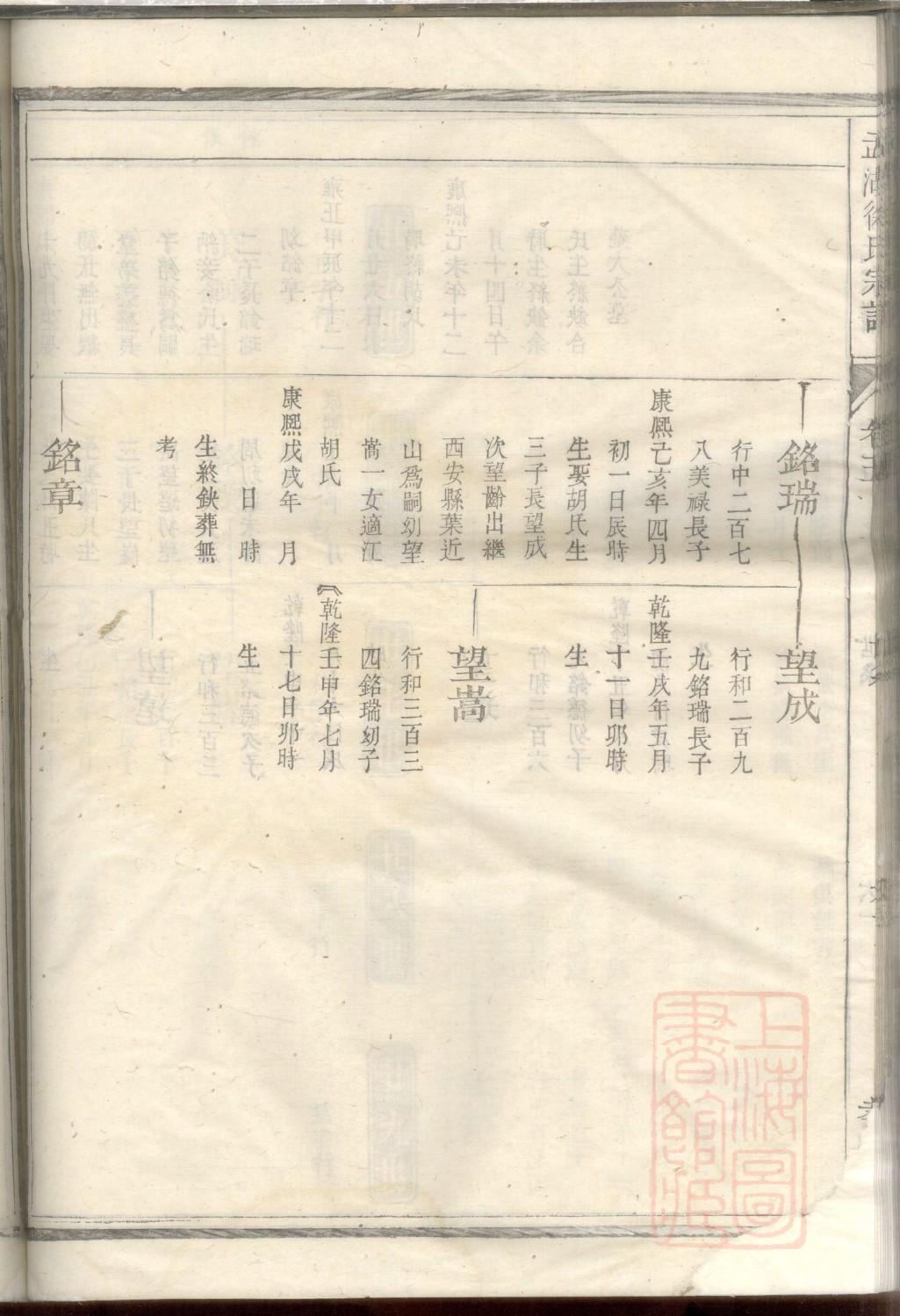 族谱生成