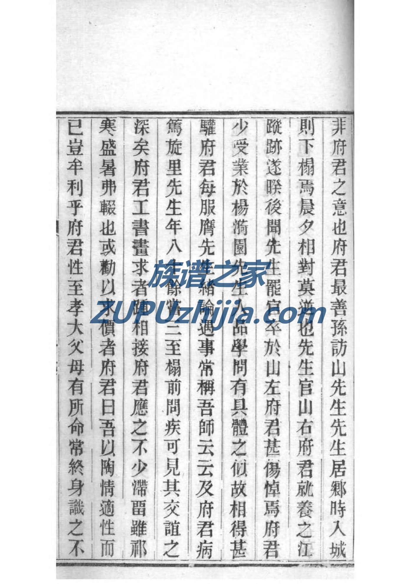 陶氏家谱