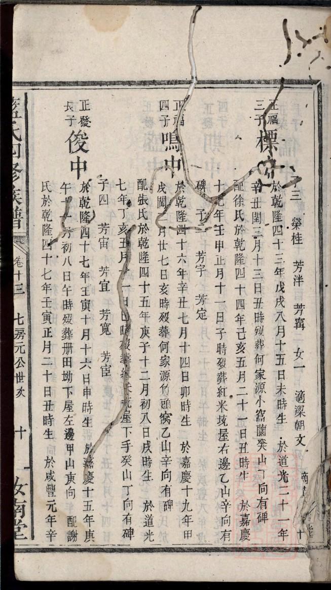 申氏族谱视频