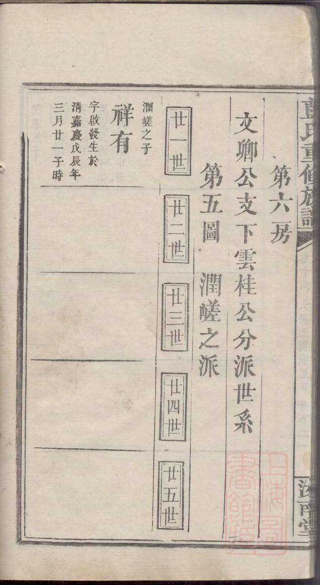 族谱制作软件输入行传即成系图