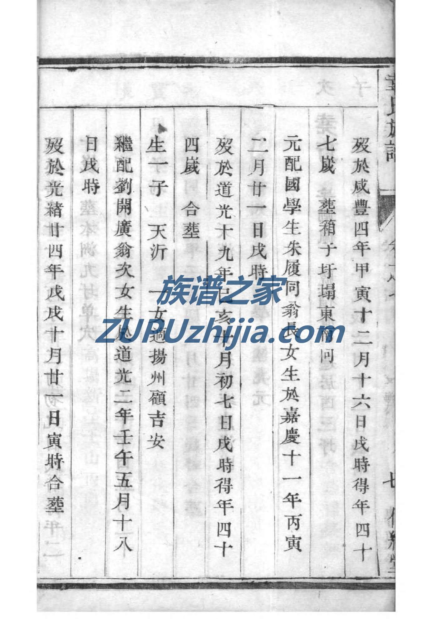 羿氏家谱查询