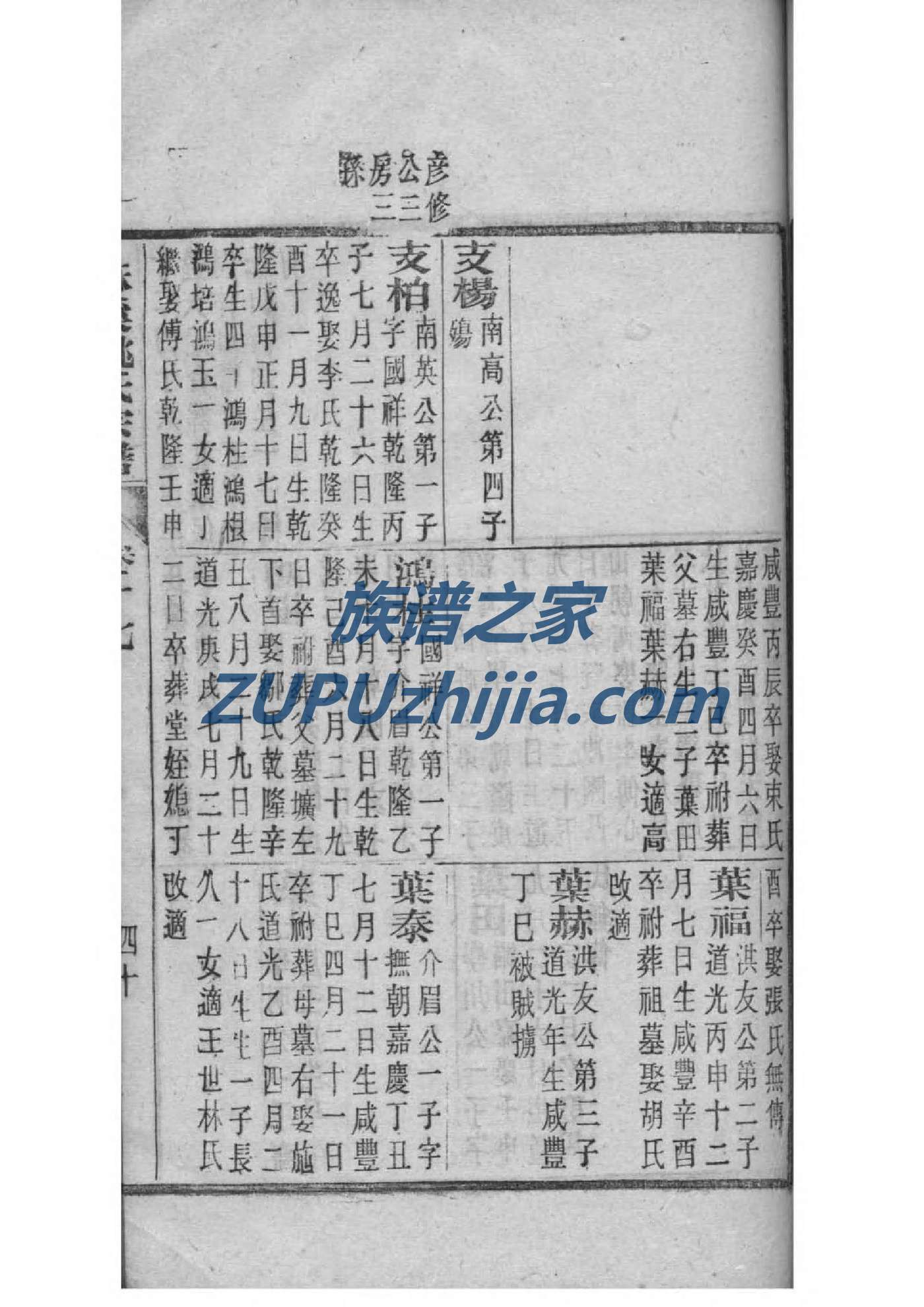白家族谱