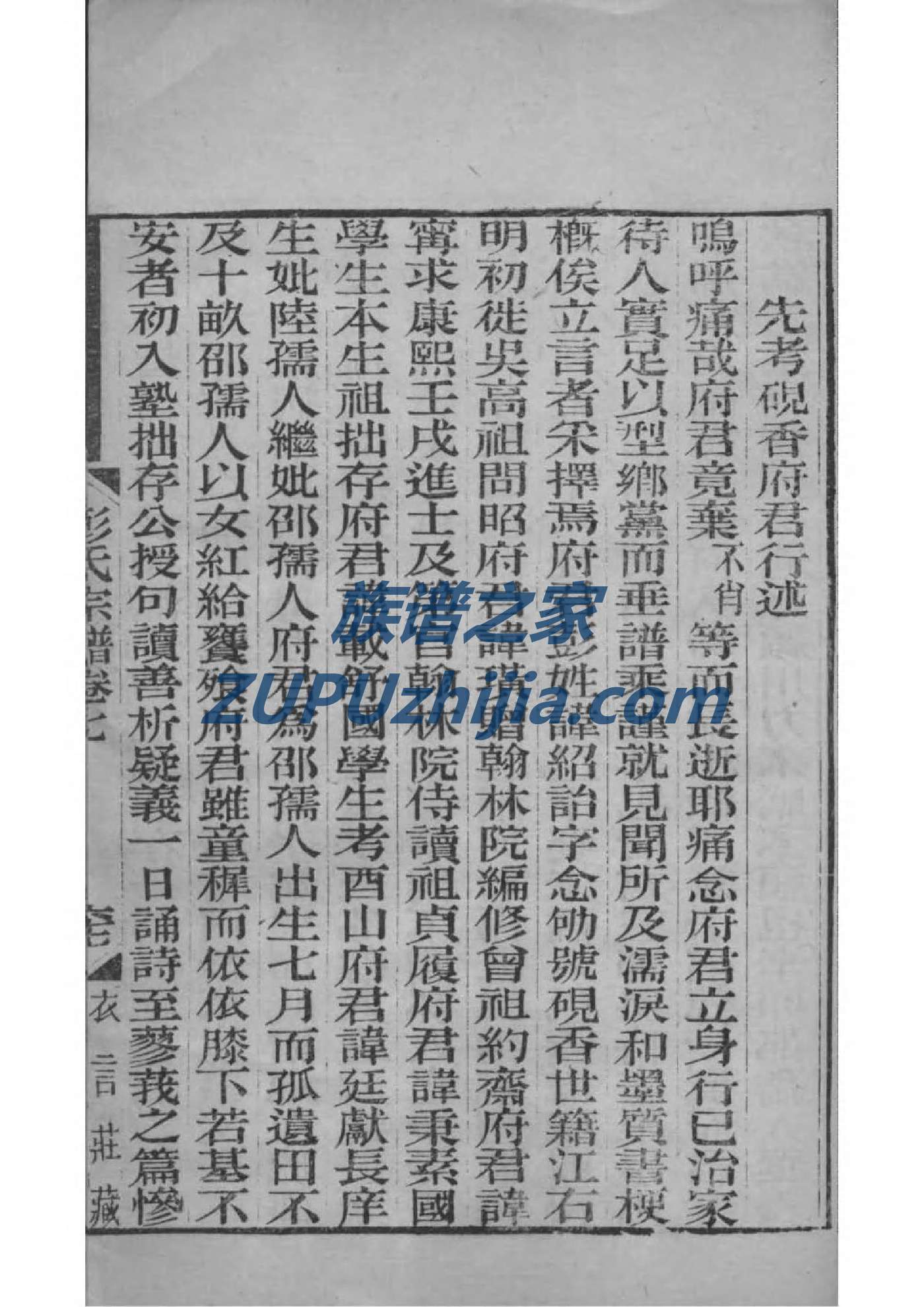 绪家族谱查询
