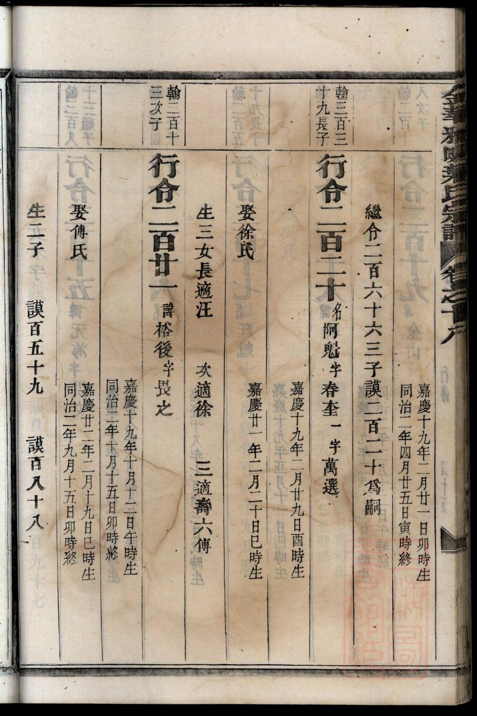 如何查自己的族谱