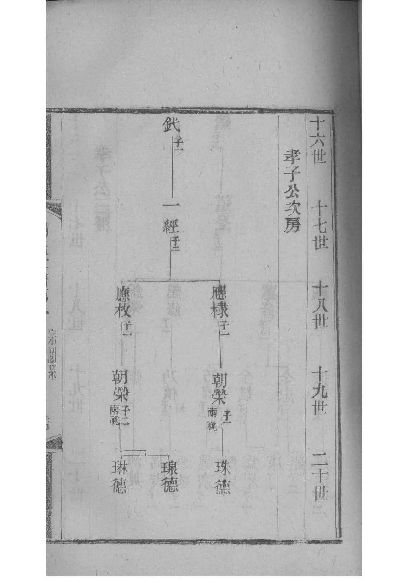 赵氏家谱族群