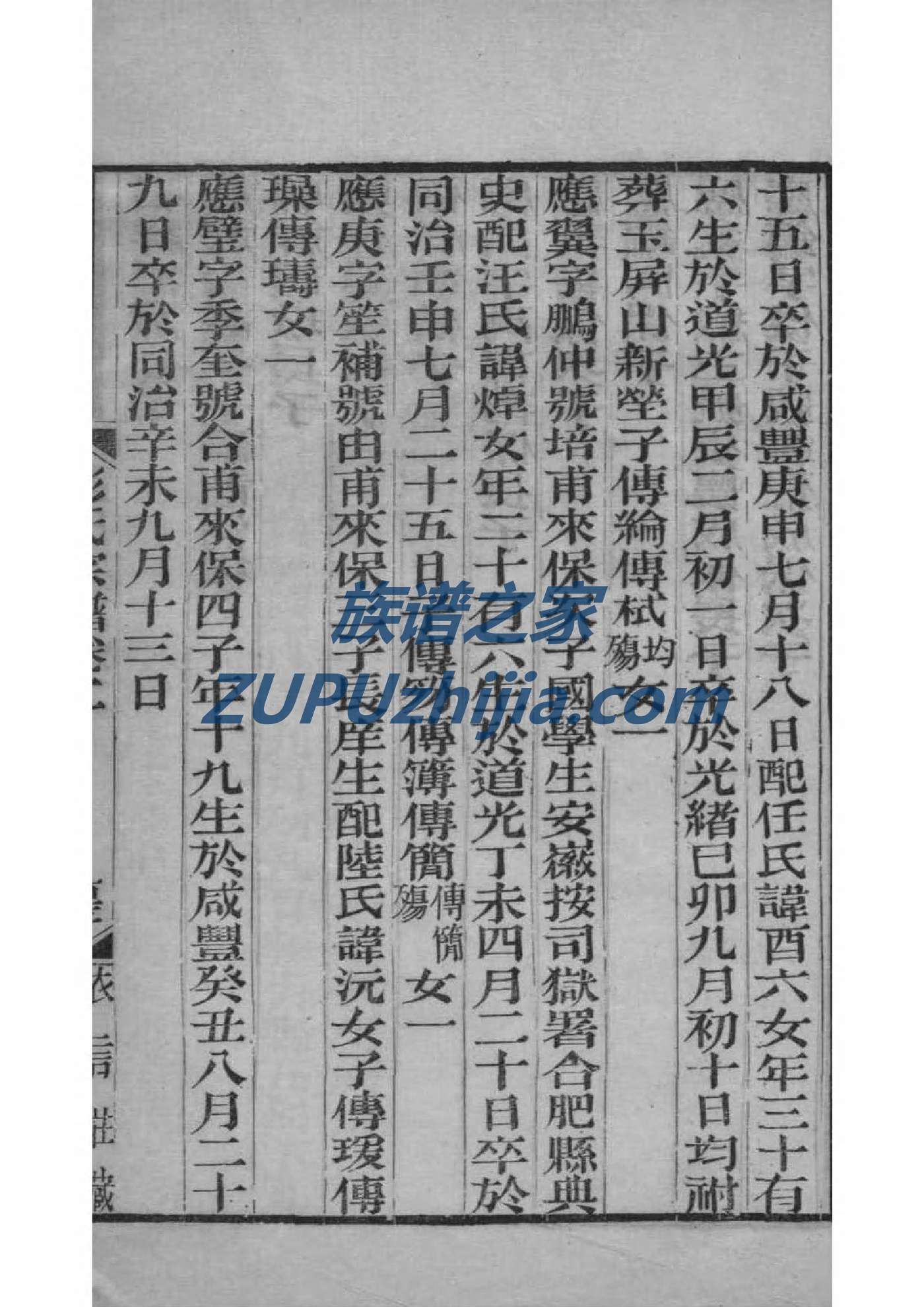 湖南邵阳李氏族谱