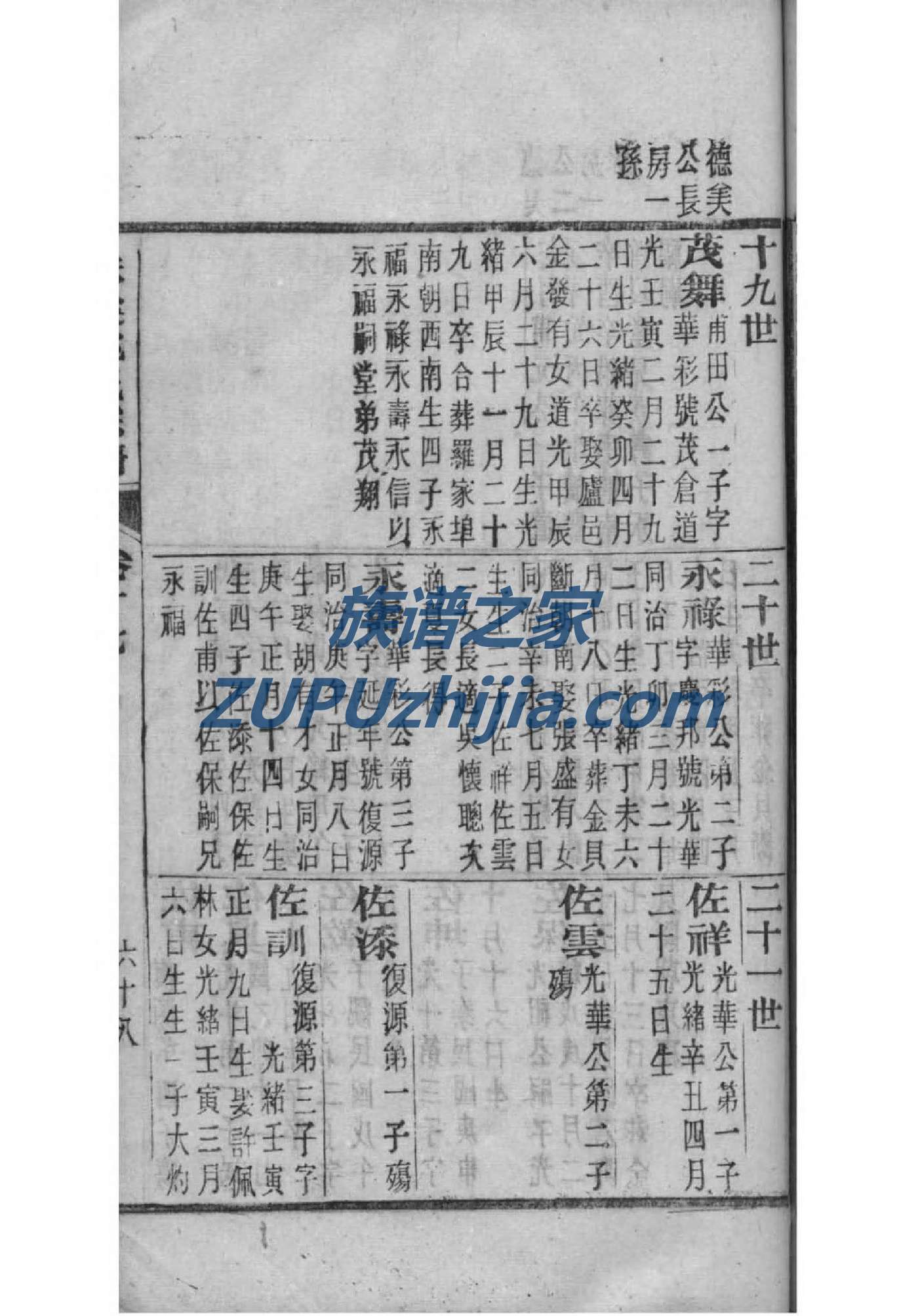 董氏族谱网