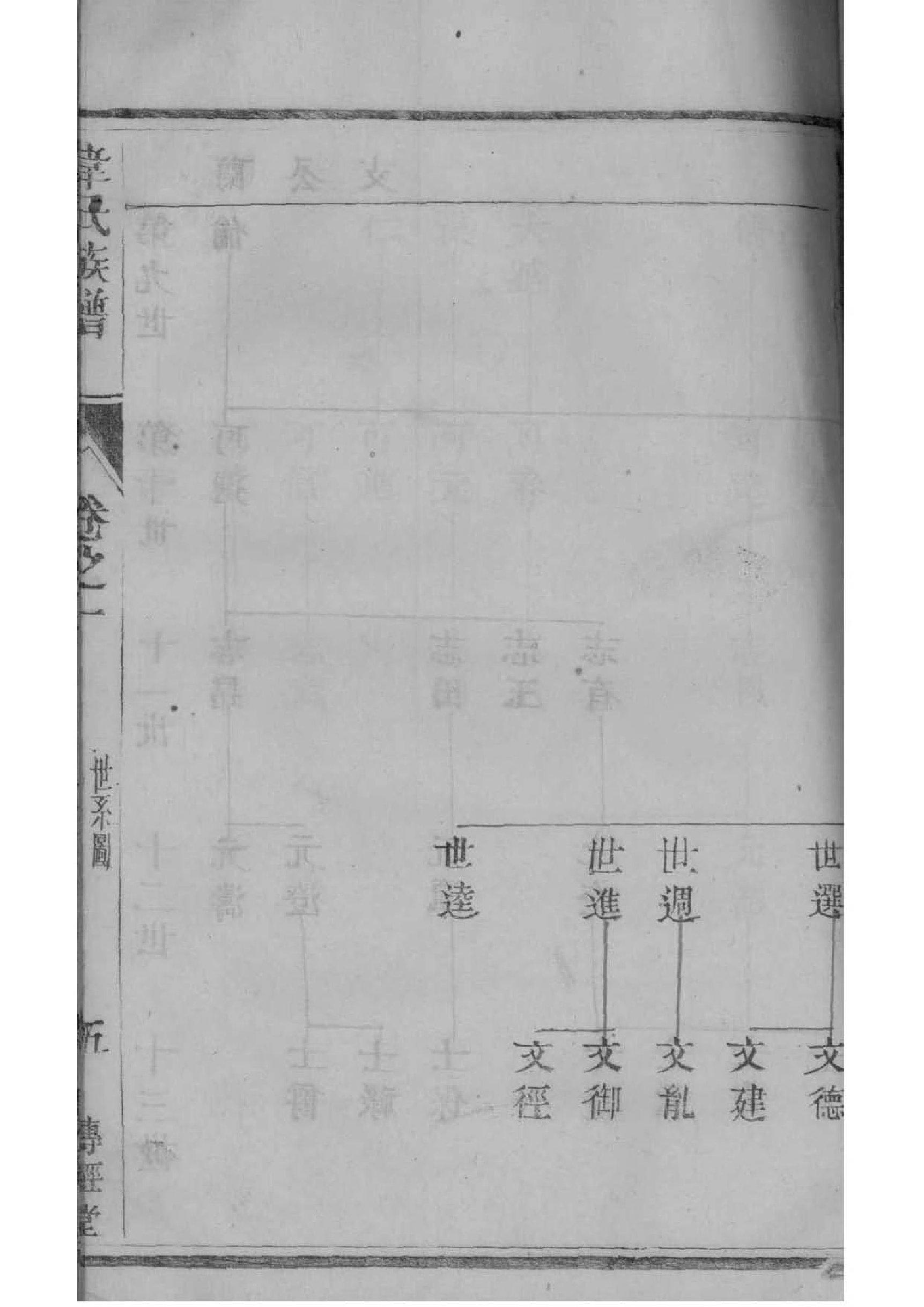 家谱家谱制作