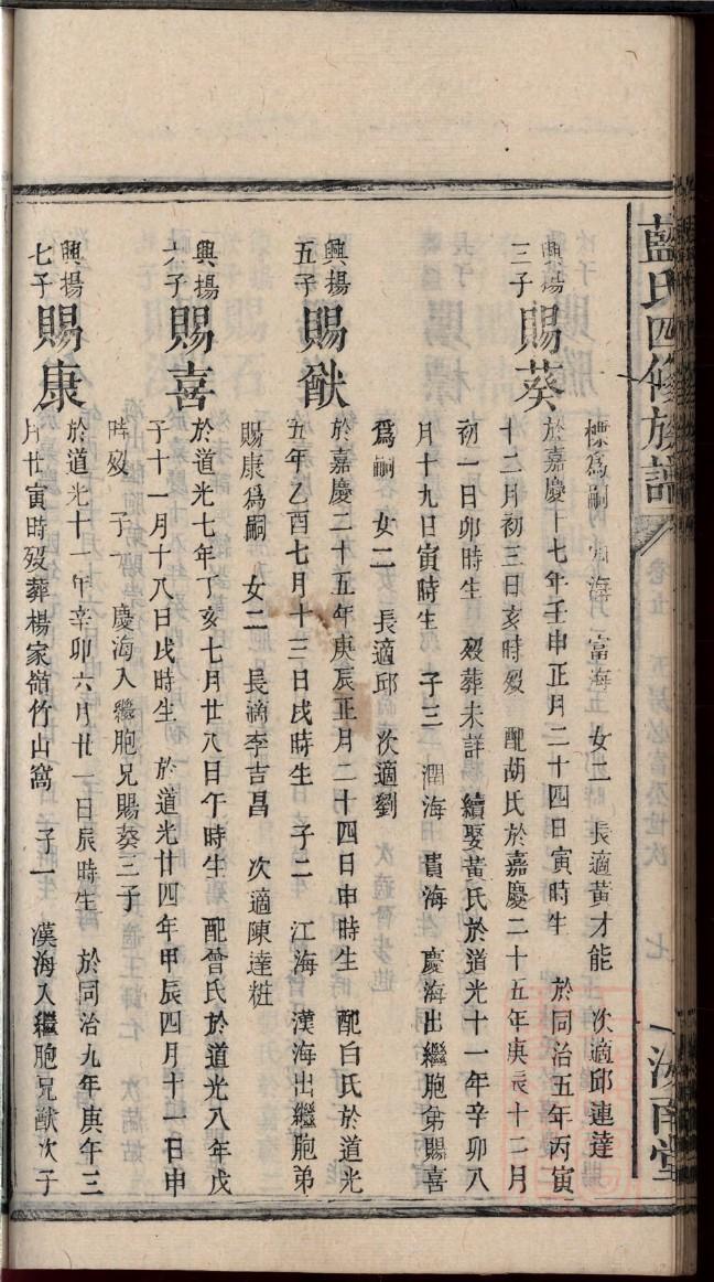 家谱制作软件破解版