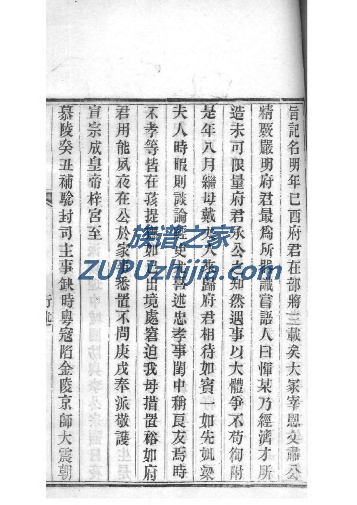 桑氏族谱图片