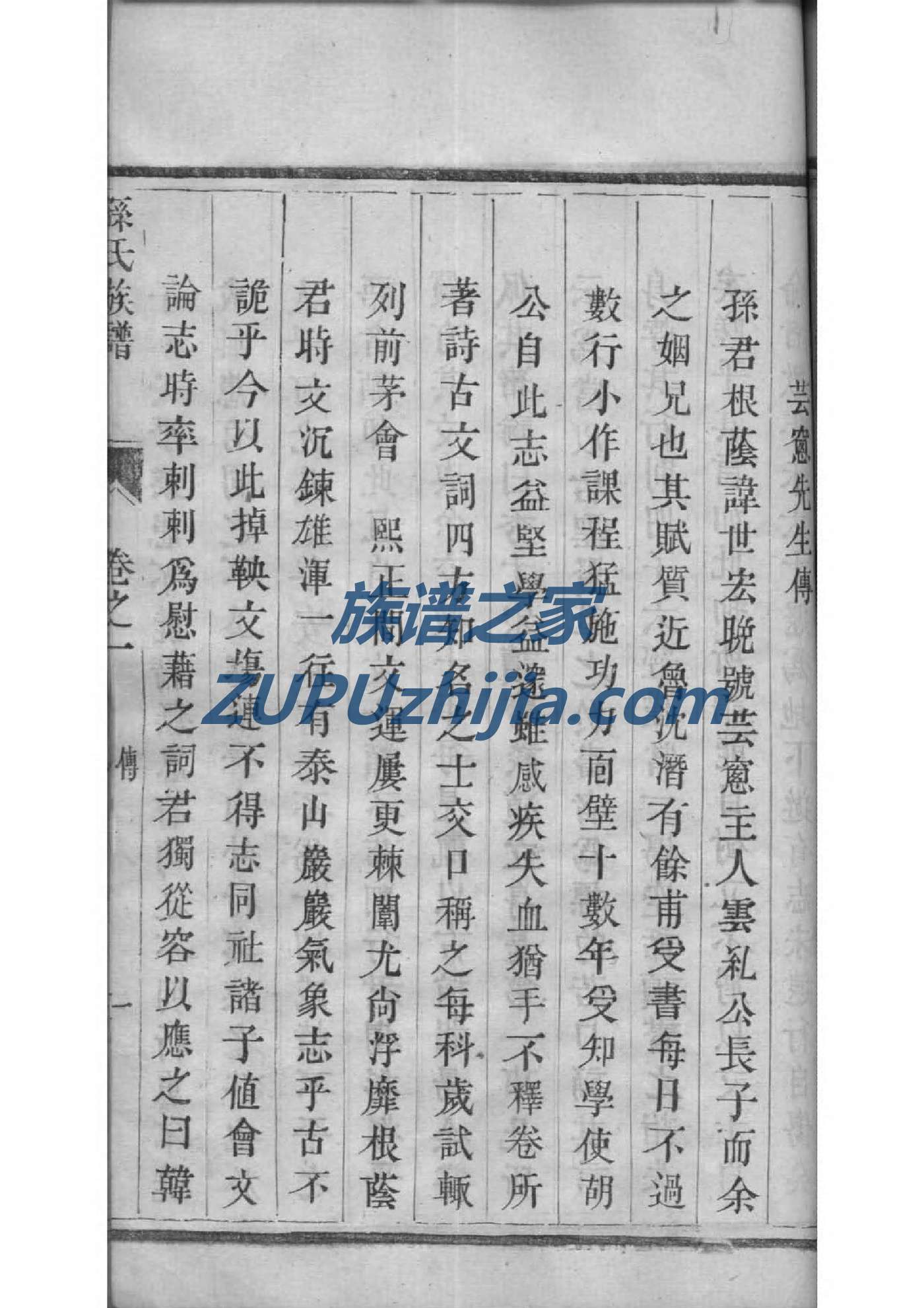双家族谱查询