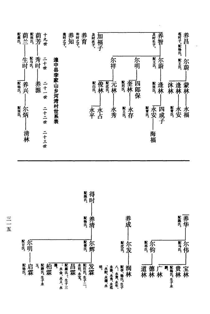 杜月笙后人族谱