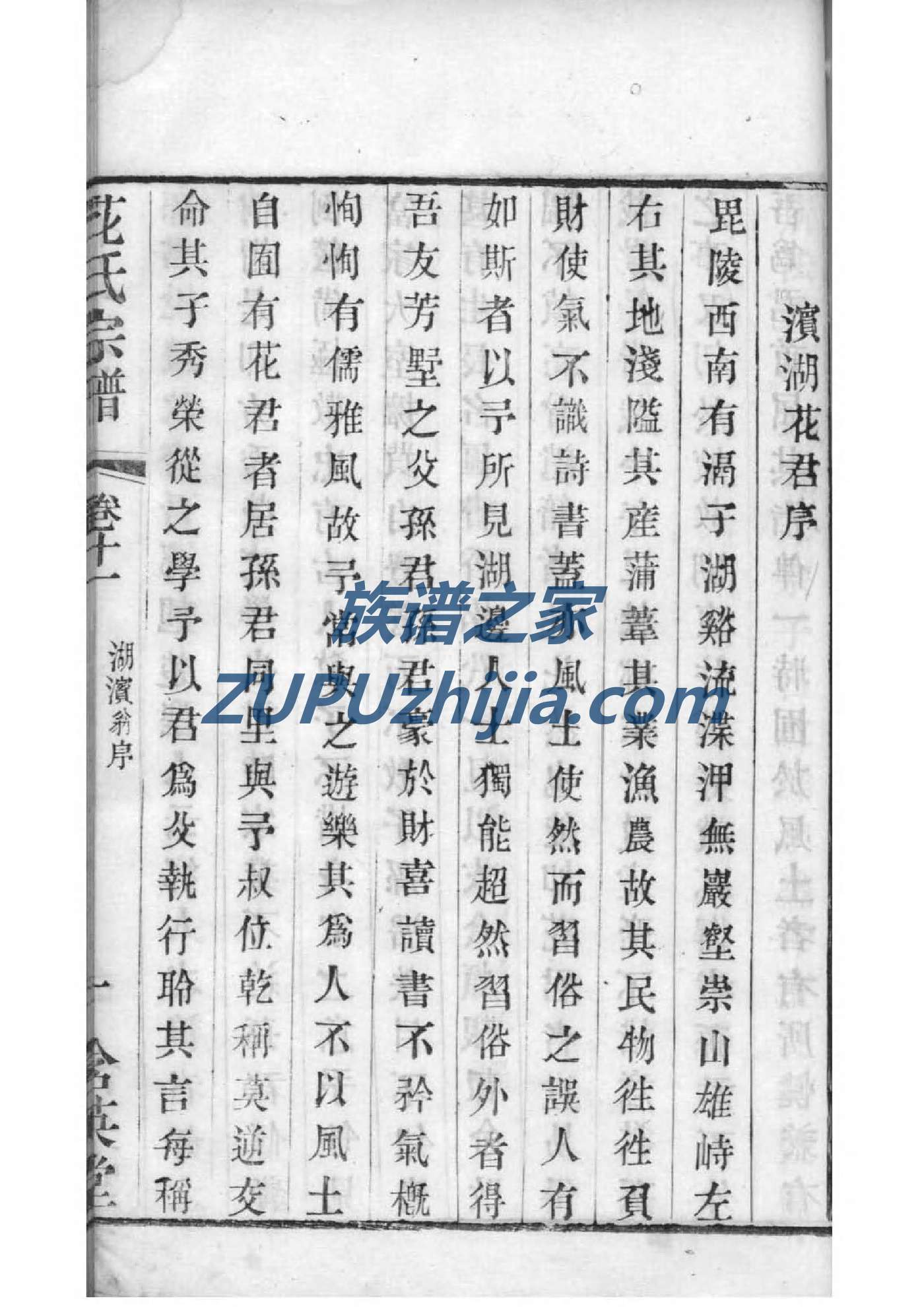 严氏族谱的收藏价值