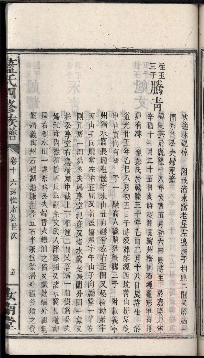 强家家谱查询