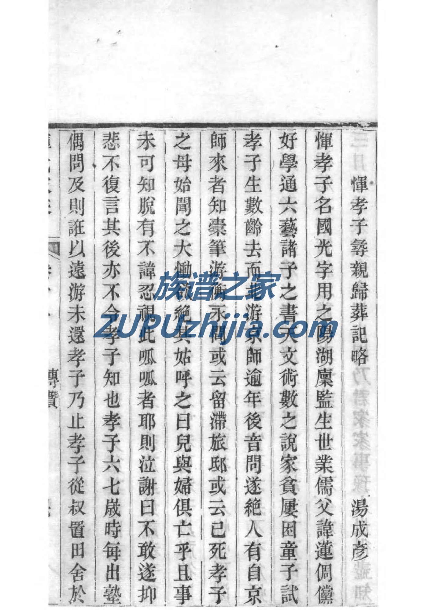 狄氏族谱查询