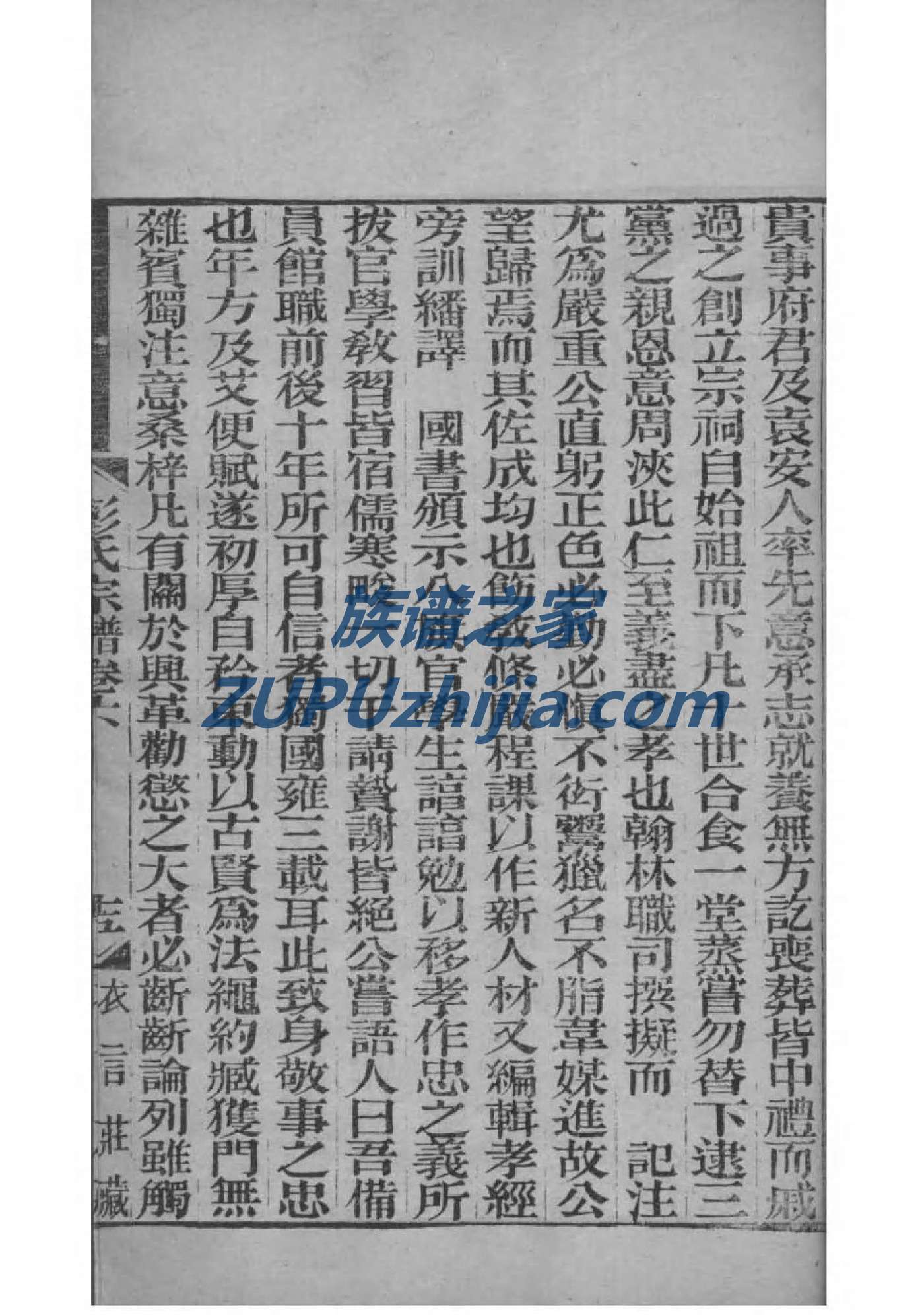 杨氏族谱字派