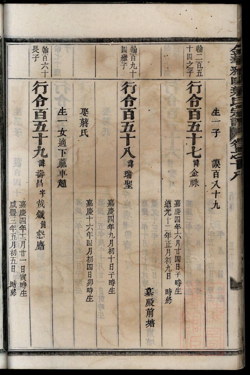 修族谱用什么软件