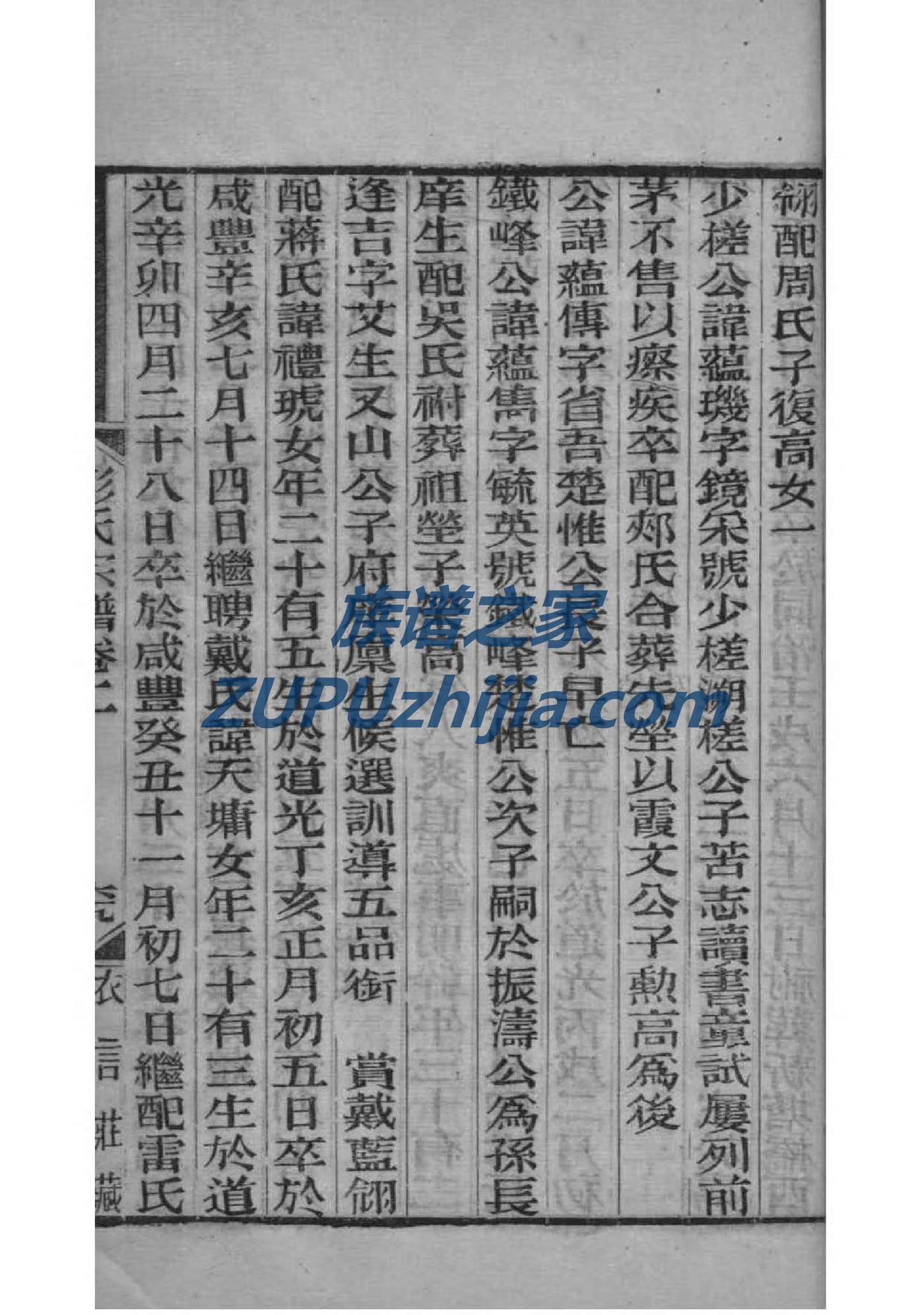 容氏家谱族谱在哪里看